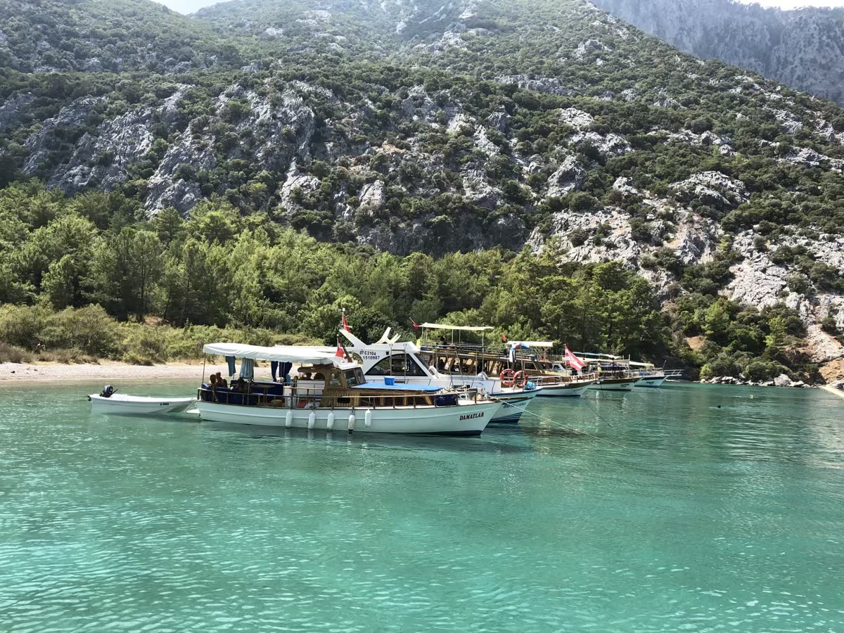 Porto Ceneviz